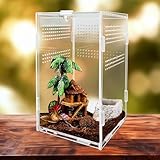 UBJUBT Terrarium Kit, Reptile Breeding Box, Stick Insect Enclosure, Tarantula Enclosure, Transparent Reptile Feeding Box for Spide, Lizard, Scorpion, Mantis, Geckos, Beetle, Crickets (12x12x20cm)