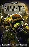 Salamanders: The Omnibus (Tome of Fire)