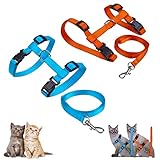Morices 2 Pack Cat Harness and Leash, Adjustable Comfortable Nylon Pet Strap Collar with Leash, Escape Proof Safety Rope Leads Chest Strap for Kitten Puppy Rabbits Walking Training (Orange & Blue)