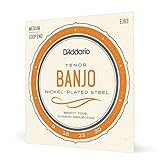 D'addario EJ63 Tenor 4 String Banjo