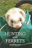 Hunting with Ferrets