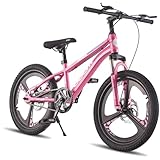 LSLIFE Kids Mountain Bike for Girls 24 Inch Kids Bicycle for 13-16 Years Old Girl with Shock Absorber Girls Mountain Bicycle with Dual Disc Brake (Pink, 24 Inch)