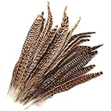 MWOOT 20pcs Natural Pheasant Tails Feather for Hair Hats Crafts Home Wedding Party Decoration (25-30cm)