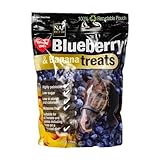 NAF Blueberry & Banana Horse Treats 1kg – Natural Low-Sugar Equine Snacks – Laminitis-Friendly Healthy Horse & Pony Treats – Nutritious Daily Reward for Training, Bonding & General Feeding