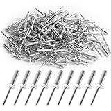 120 Pcs Aluminum Blind Rivets, Pop Blind Rivets with Large Flange, Aluminum Pop Rivets Assortment Kit, Rivets for Metal, Furniture, Car, Ships - 4.8mm x 20mm/Silver