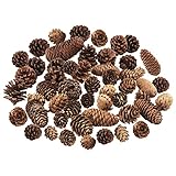 Jangostor 40 Natural Pine Cones - Like a Peak Tower Christmas Tree Decorations for Home, Party, Crafts, Gift, Wedding, Winter Decoration