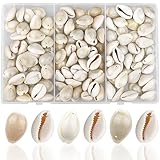 YSDMY 120 PCS Natural Spiral Cowrie with 1 Hole ，2 Hole and No Hole，18-20 MM Sea Shells for Decoration Jewellery Making