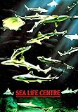 Sea Life Centre (Souvenir Guide)