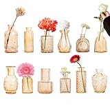 Glass Bud Vases Set of 12, Small Clear Amber Vase for Centerpieces, Mini Glass Vase in Bulk Vintage Vases Assorted Flower Vase for Baby Shower Wedding Floral Arrangements Home Table Decorations