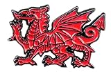 Metal Enamel Pin Badge Wales Red Dragon Welsh National Cymru