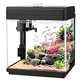 AQQA 5L Aquarium Starter Kits,Nano Fish Tank with Filter and LED Light,Self Cleaning Glass Fish Tank Kit,8 Colors Adjustable Aquarium Tank,for Betta Shrimp Goldfish,Office Desktop Decoration Kids Room