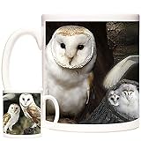 Beautiful BARN OWL Mug Magnificently Cute Owls on an 11oz Ceramic Mug. Dishwasher and Microwave Safe. Animals of The World Range