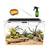 Reptile Growth Reptile Terrarium,16" x 8"x 10" vivarium with Top Sliding Door Screen Ventilation for Small Fish,Insect,Snail,Gecko,Tarantula,Bearded Dragon,Jumping Spider,Stick Insect,Praying Mantis.