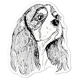 Azeeda 'Cavalier King Charles Head' White Premium Vinyl Decal Sticker – Waterproof, Durable & Easy to Apply - for Car Bumpers, Windows, Bins & More - Medium (100mm) (DW00072150)