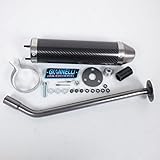 Giannelli Exhaust Muffler for Moto Derbi 50 Senda Sm Drd Pro 2005 to 2013