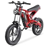 Ealirie Electric Bike 20 * 4" Fat Tire Range 40-80KM, Removable 15Ah Winter Snow Beach Hill Mountain Electric Bicycle, Dual Disc Brakes & Sextuple Suspension for Adults Teens b6 ebike