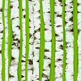 DERUINVAIO Self Adhesive Feature Removable Birch Stems Seamless Peel and Stick Vinyl Wallpaper Roll, Sticky Lining Paper for Bedroom, Living Room, Kitchen Walls