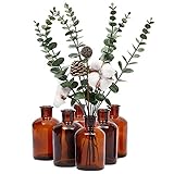 Amber Glass Bottles, 6-Pack of Vintage Style Pharmacy Bottles, 6.3 x 12.2 cm Each