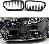 YIUBCZOQI F10 F11 Grilles Compatible for BMW 5 Series F10 F11 F18 M5 Kidney Grille Double Slats Gloss Black 2010-2017