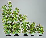 Finest-Filters Light Green Silk Aquarium Fish Tank Plant Decoration Ornament Large Aquarium Plants (Light Green Silk 20cm)