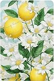 Lemon Citrus Botanical Metal Tin Sign - Great Farmhouse Decor, Dining Room and Kitchen Decoration, Lemonade Gifts, Vintage Pictures Of Lemons, Lemon Decor 5.5x8 Inch