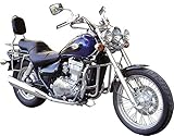SPAAN Chrome Engine Guard for Kawasaki Vulcan EN 500 (Spoke Wheels)