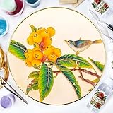 ERSENNQW Cloisonne Painting DIY Art Kit Loquat and Bird Craft Kit of Adult Perfect for Artistic Home Decor and Unique Gifts Diameter 9.8 in