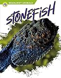 Stonefish (Deadliest Animals)