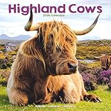 Highland Cows 2026 Calendar | Square Wall Calendar | Farm Animal Gift | Plastic Free Packaging | by Avonside Publishing