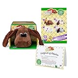 Pound Puppies , Brown / Zany Puppy Plush , Puppy Toy, Soft Toy Dog for Children, Puppy Toys for Girls and Boys, 43cm Dog Plush for Kids Ages 3+ , Basic Fun 38211