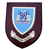 raf College Cranwell Wall Plaque Royal Air Force Regimental Military Mess Shield