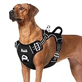 Eyein Dog Harness Large Dog, Anti Pull Adjustable Heavy Duty Pet Vest with 2 Clips, Easy Control Escape Proof Puppy Harness with Soft Padded Handle Reflective for Outdoor Training Walking, L