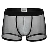 Men Sexy Mesh Boxer Briefs, See Through Breathable Men's Briefs Underwear, Fishnet Sheer Low Rise Underpants Gift for Boyfriend, Daily Stretch Underwear Boxer Shorts, Hipsters Trunk Underwear for Men