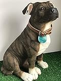 Animal Crackers Extra large 26cm Brindle Brown Staffy Staffordshire Bull Terrier Leonardo ornament figurine