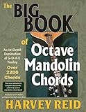 The BIG BOOK of Octave Mandolin Chords: An In-Depth Exploration of G-D-A-E Tuning