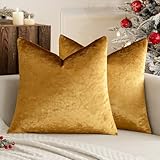 MIULEE Champagne Gold Luxurious Velvet Cushion Covers Soft Decorative Square Throw Pillow Case Pillowcases for Livingroom Sofa Bedroom with Invisible Zipper 18"x18" 45cm x 45cm 2 Pieces