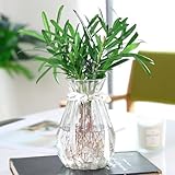 TSKDKIT Clear Glass Vase Decoration Flowers Glass Bottle Thicken Vase with Ribbon Glass Vase for Gift Wedding Living Room Modern Decor(18 x 8cm)