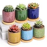 T4U 6cm Succulent Plant Pot Set of 6, Ceramic Cactus Plants Pot with Tray for Cactus, Ice Crack Serial Small Plant Pots for Garden Gifts, Mini Colourful Planter Decoration for Indoor Outdoor Plants