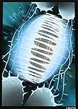 Android Netrunner Snare! Art Sleeves Card Game