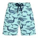Vilebrequin Men's Jim (Toddler/Little Big Kids) Swim Trunks, Celadon, 14 Years