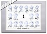 MOUNTED ENGLAND CRICKET ASHES WINNERS 2013 FULL SQUAD TEAM SIGNED 12X8 INCH MOUNT WITH PRINTED AUTOGRAPHS PHOTO PRINT PHOTOGRAPH AUTOGRAPHED POSTER JERSEY SHIRT GIFT PRESENT XMAS CHRISTMAS