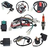 Wire Harness Complete 6 Coil Stator CDI Wiring Harness for 49cc 50cc 70cc 90cc 110cc 125cc 150cc GY6 Taotao Kazuma Baja ATV Dune Buggy Go Kart Scooter Pit Bike Quad Moped 4 Stroke Engine Harness