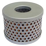 Lister Petter Fuel Filter, Cartridge Type for Belle, Benford, Kohler