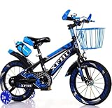 Raleigh Kids Boys Bike 12" to 20" - Children's Tourer Bicycle With Stabilisers, Adjustable Sport Cycle for 2-12 Years Old