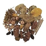 Yardwe 1 Pack of Natural Wood Branches Natural Acorns Pine Cones Leaves Ornaments for DIY Craft Rustic Retro Vintage Decoration Photo Props Decorative Fall Winter Holiday Home Decor Vase Filler