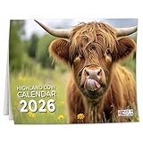 2026 Calendar, Highland Cow Wall Calendar UK, A3 Month-to-View (Jan 2026 – Dec 2026), Eco-Friendly, A3 Size When Open, Made in the UK