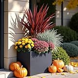 IDEALIST 50cm Trough | Dark Grey Reinforced Stone Rectangular Planter | Garden Plant Pots with Drainage Holes L50 W20 H40 cm, 23 litres