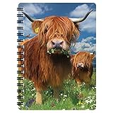 3D LiveLife Jotter - Highland Cattle from Deluxebase. Lenticular 3D Cow A6 Spiral Notebook with plain recycled paper pages. Artwork licensed from renowned artist David Penfound