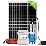 Deep Well Solar Water Pump Kit, 12 V DC Submersible Water Pump with 120 W Mono Solar Panel, 10 Ah Battery Controller, for Well, Pond, Home, Farm, Stainless Steel