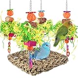 Parrot Toys, ERKOON Cockatiel toys, Budgie toys, Parrot Swing Chewing Toy for Conures, Cockatiel, African Grey Parrots, Cockatoos (Green)